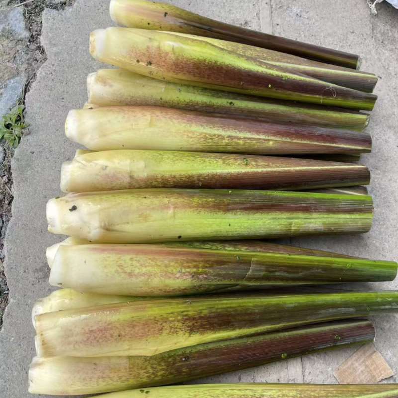 本地茭白大量上市，需要联系