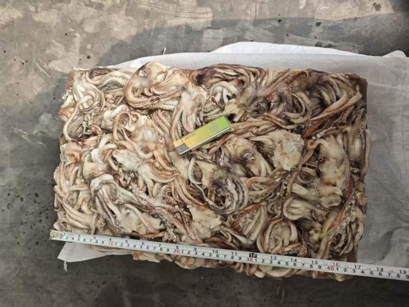 真鱿原料头！不泡水，不掉称！一件10公斤！70-90克！