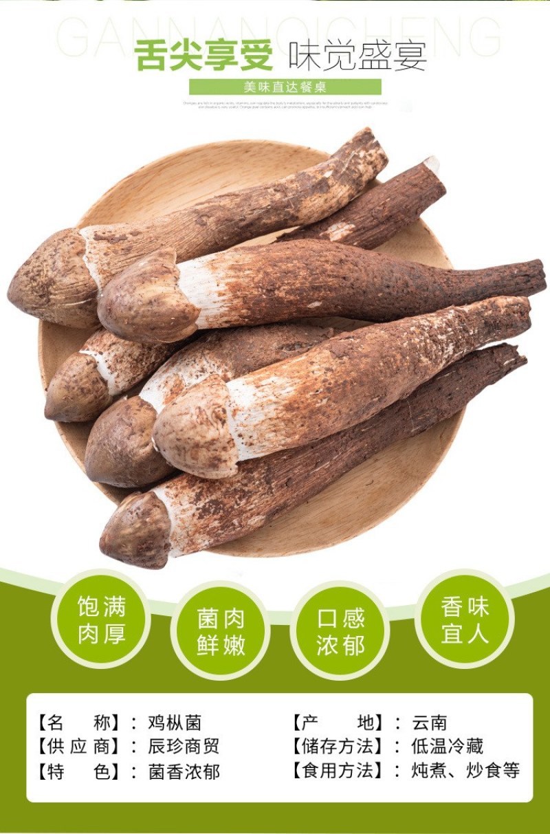 云南精选野生鸡枞不开伞大白鸡枞伞把菇荔枝菌独角白蚁鸡枞