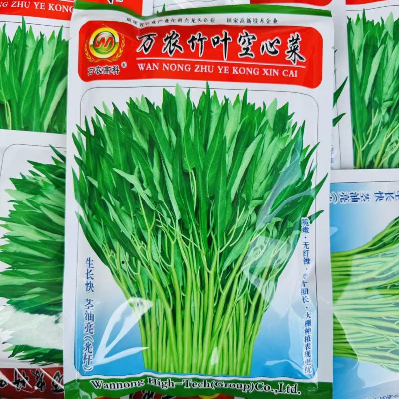 万农竹叶空心菜种子春夏秋蕹菜种籽通心菜种子旱地水地耐热
