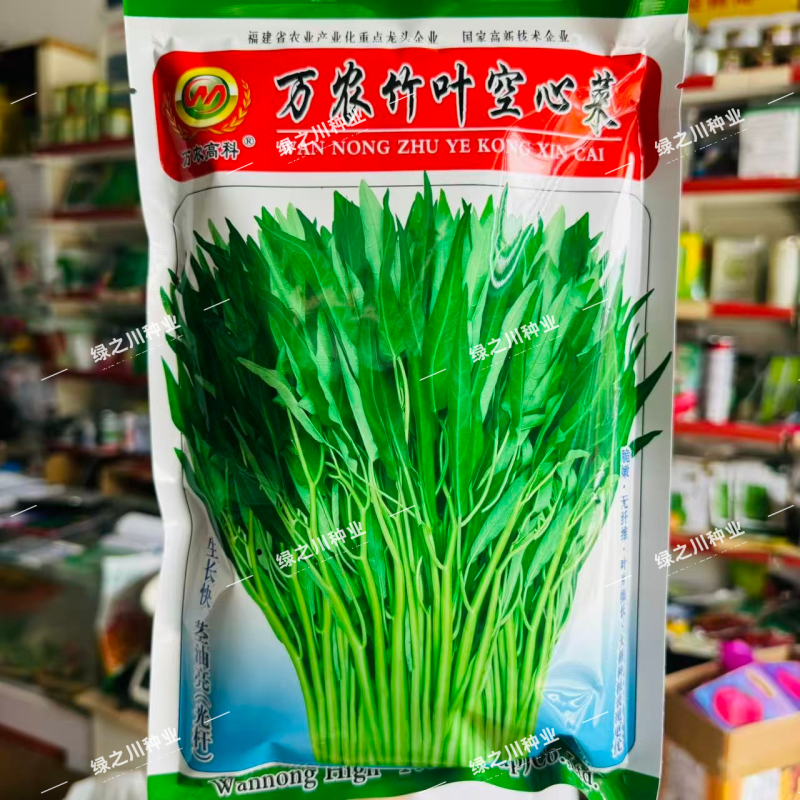 万农竹叶空心菜种子春夏秋蕹菜种籽通心菜种子旱地水地耐热