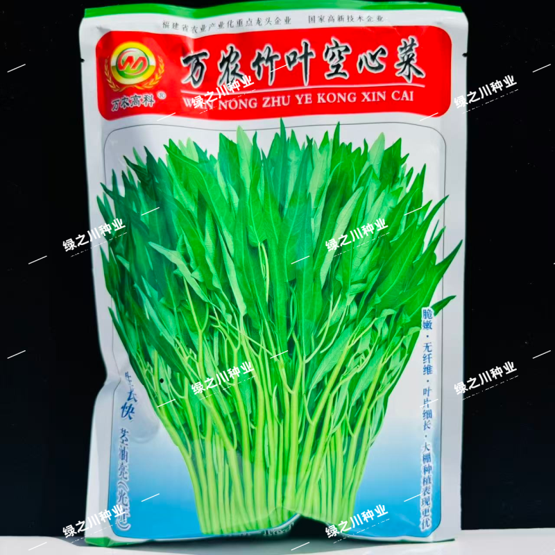 万农竹叶空心菜种子春夏秋蕹菜种籽通心菜种子旱地水地耐热
