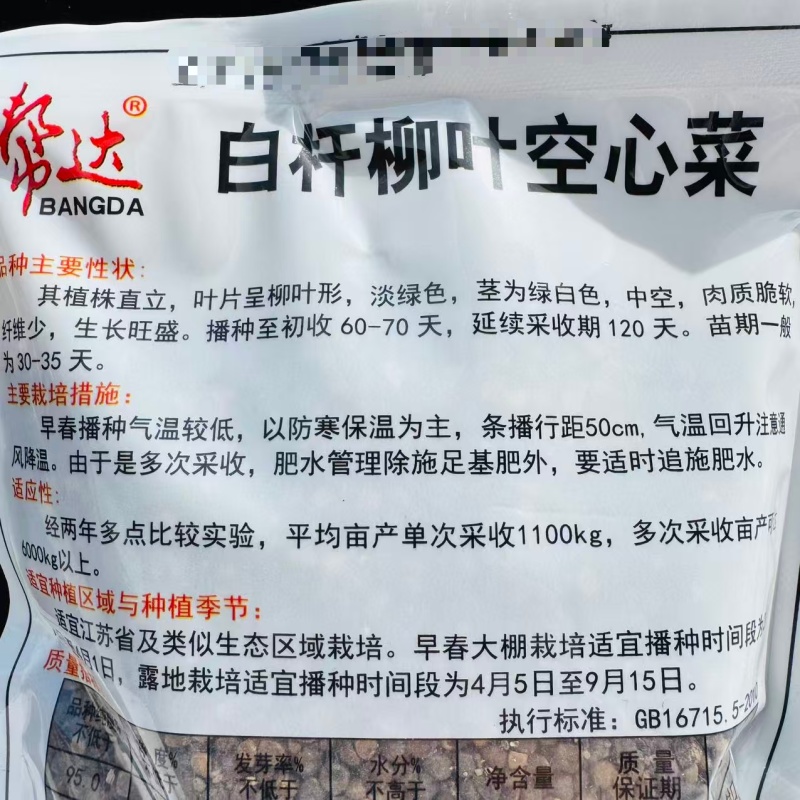 白杆柳叶空心菜种子产量高长势强采收期长通心菜种子