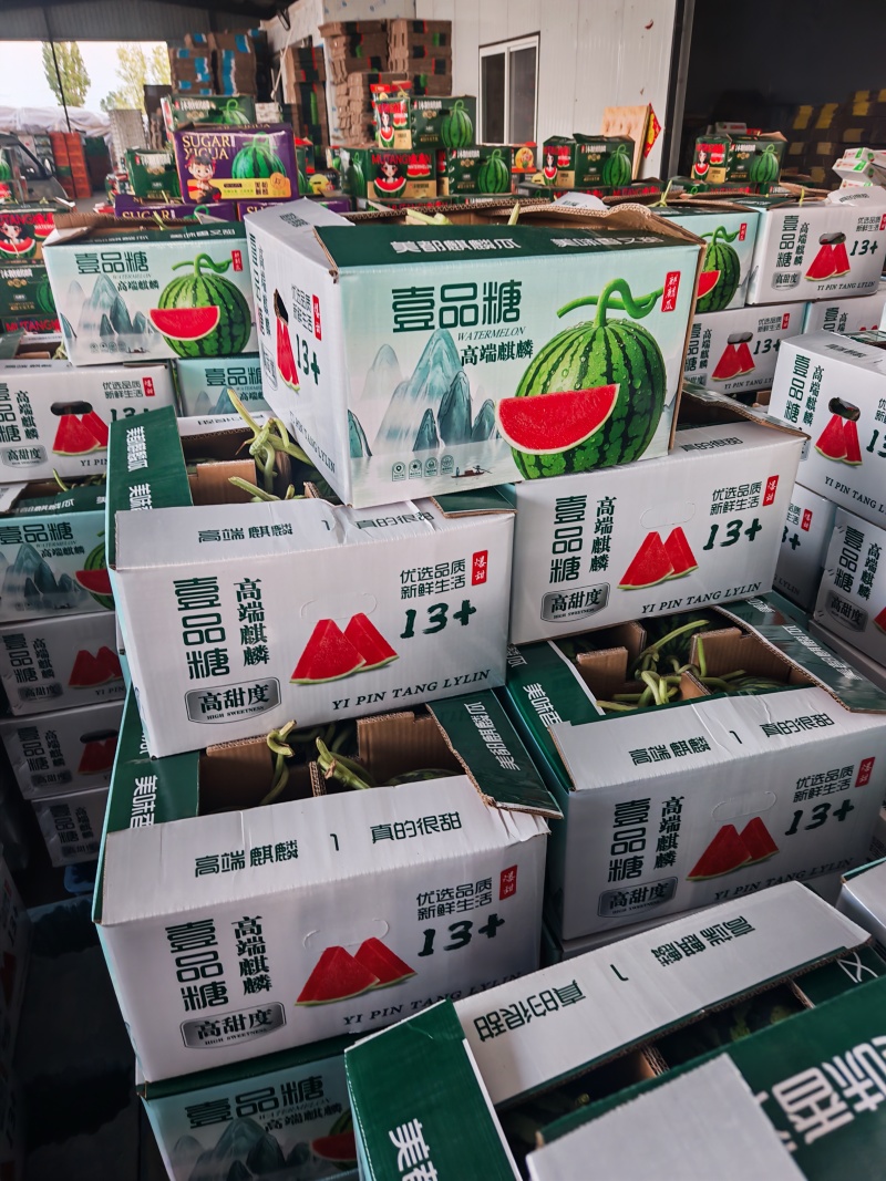 美都西瓜