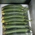 2026.4.19