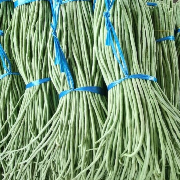 蔬菜豆角/青豆角/长豆角（豇豆）