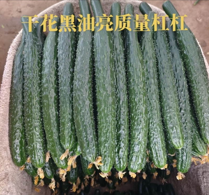 黄瓜