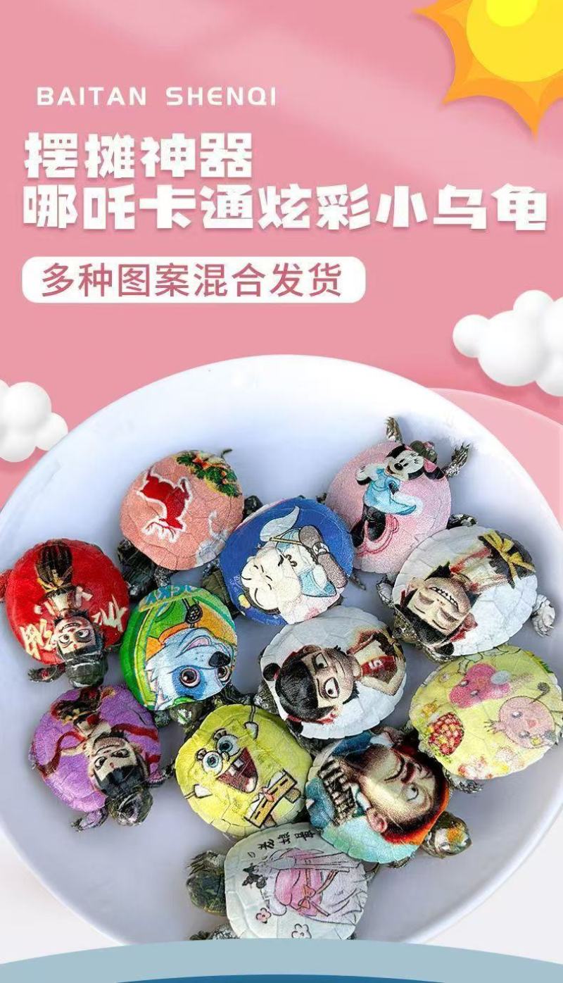 网红卡通七彩乌龟宠物活体炫彩巴西彩色活物观赏摆摊批发