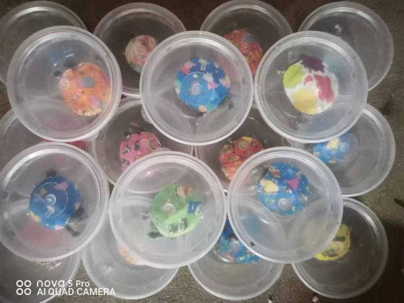网红卡通七彩乌龟宠物活体炫彩巴西彩色活物观赏摆摊批发