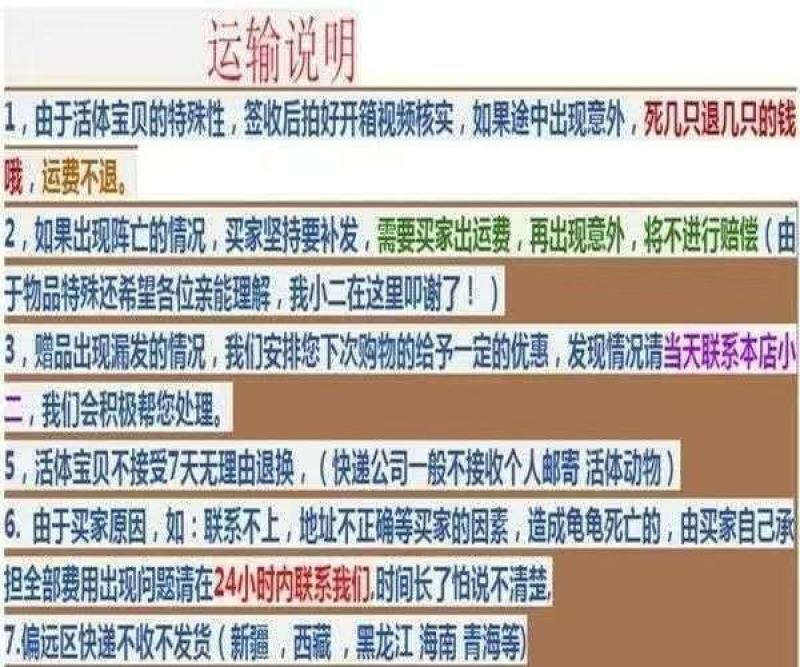 网红卡通七彩乌龟宠物活体炫彩巴西彩色活物观赏摆摊批发