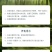 网红卡通七彩乌龟宠物活体炫彩巴西彩色活物观赏摆摊批发