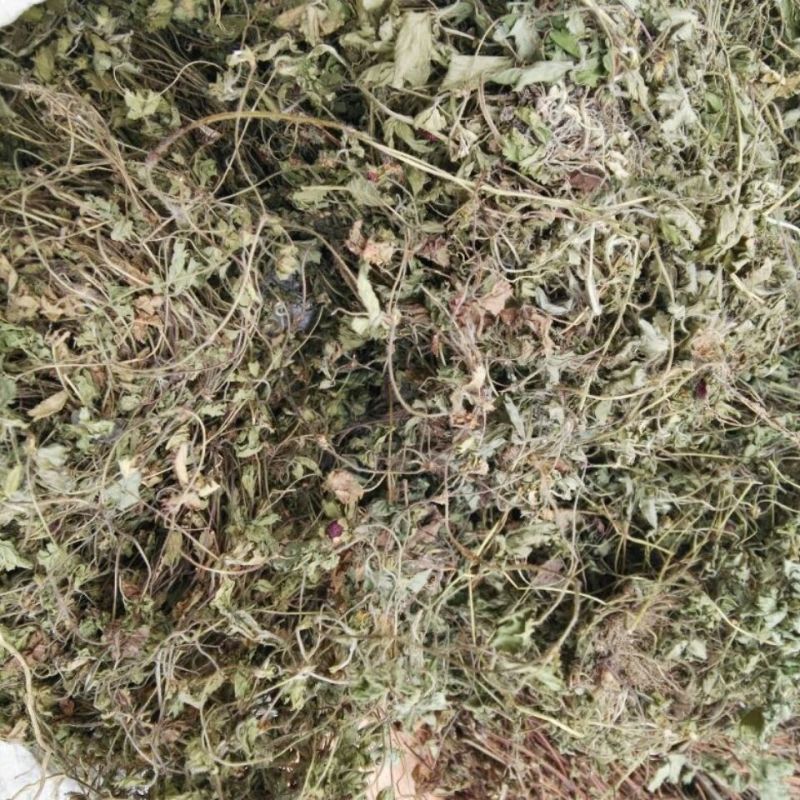 蛇莓中药材正品真材实料干货蛇莓新货中草药