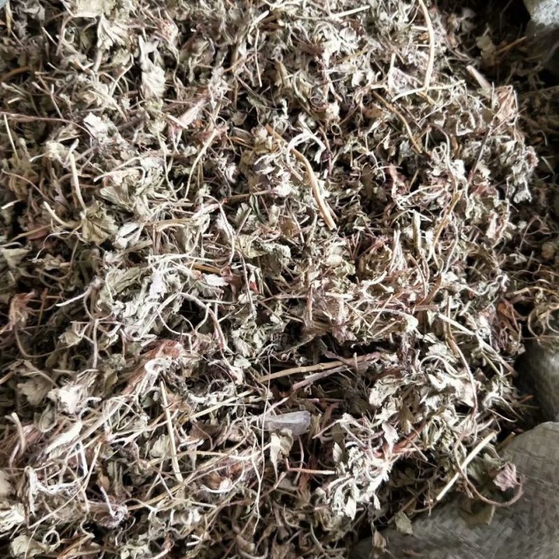 蛇莓中药材正品真材实料干货蛇莓新货中草药
