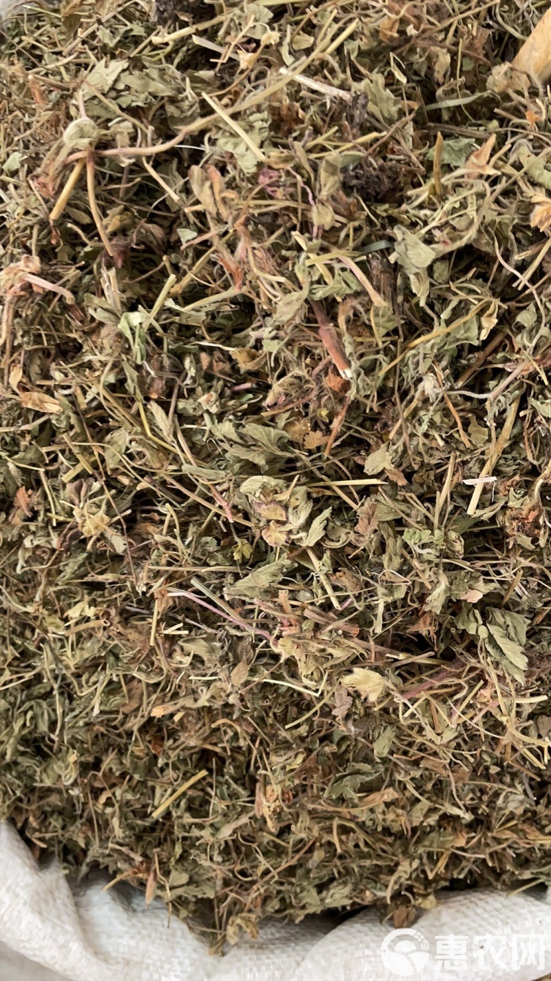 蛇莓中药材正品真材实料干货蛇莓新货中草药