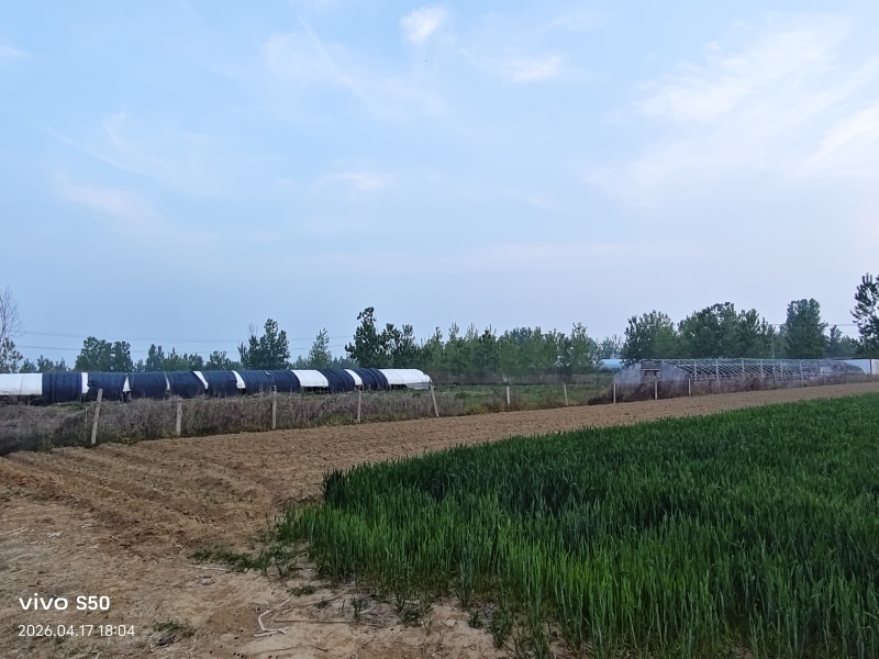 养殖地出租