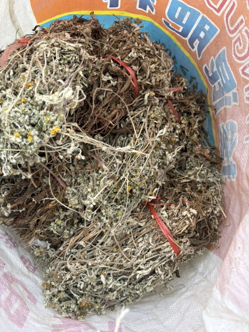 翻白草