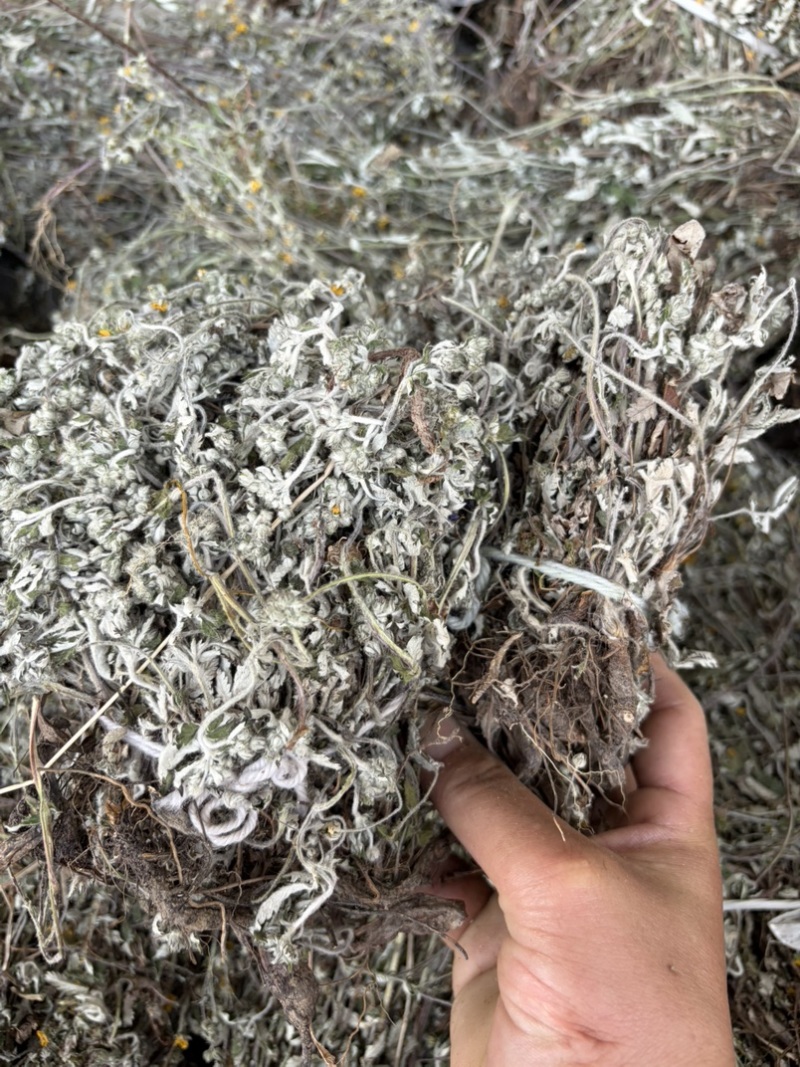 翻白草