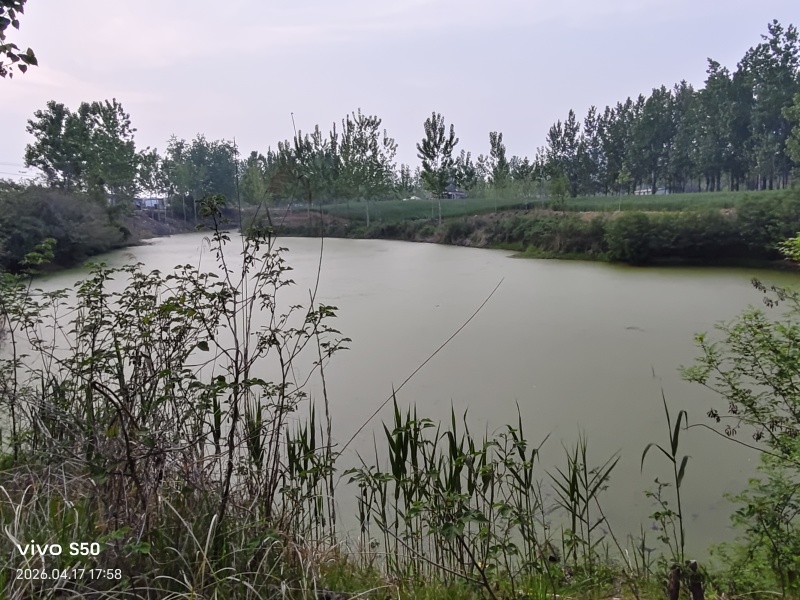 养殖场地出租