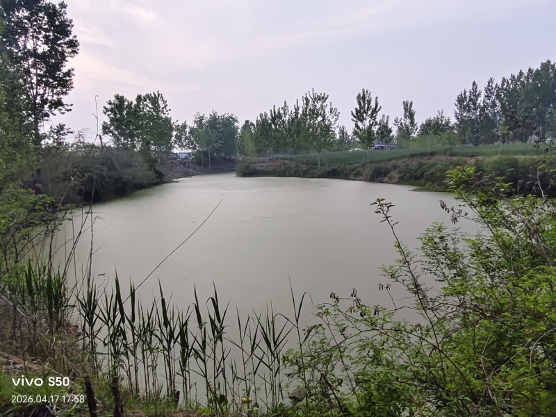 养殖场地出租