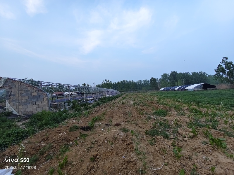 养殖场地出租