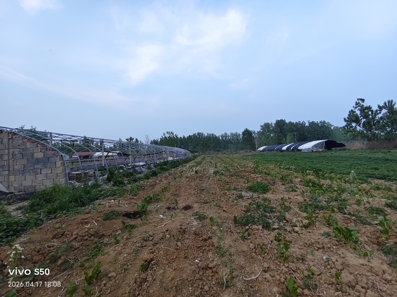养殖场地出租