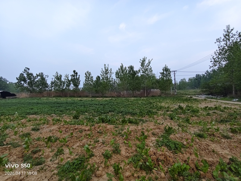 养殖场地出租