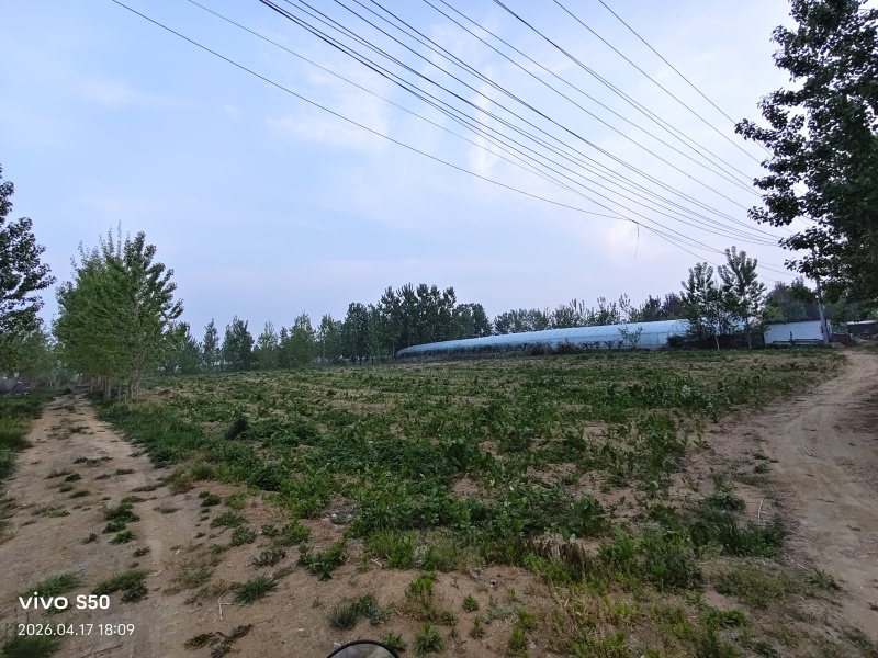 养殖场地出租