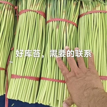 蒜苔大蒜代收代发全国