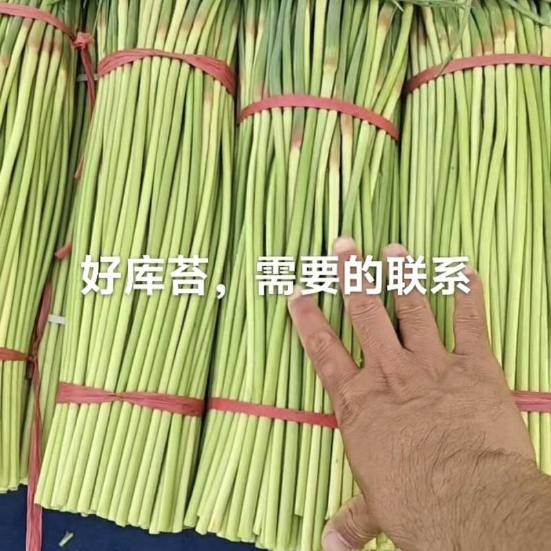 蒜苔大蒜代收代发全国