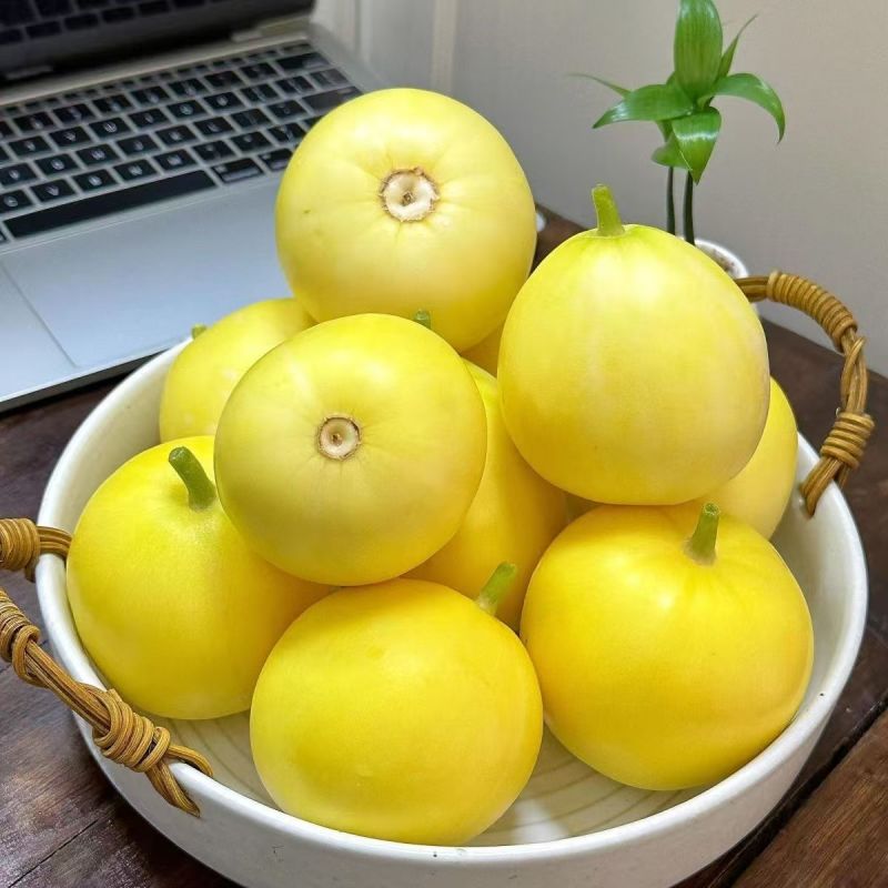 头茬小蜜蜂甜瓜玉菇花美人绿美人电商