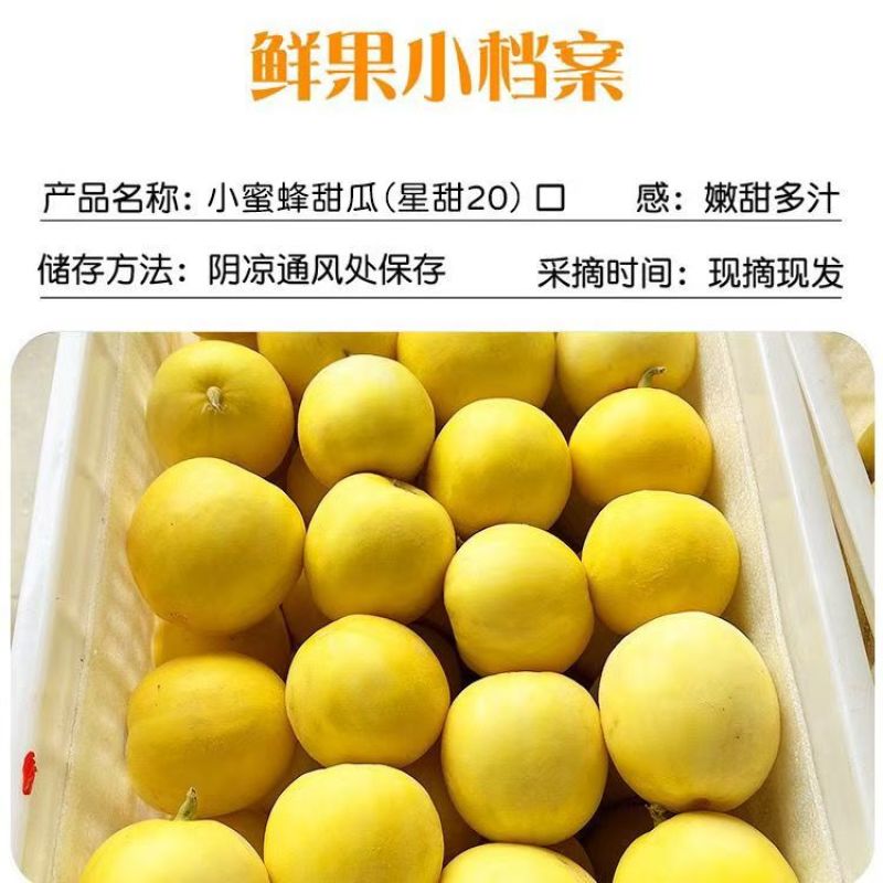 头茬小蜜蜂甜瓜玉菇花美人绿美人电商