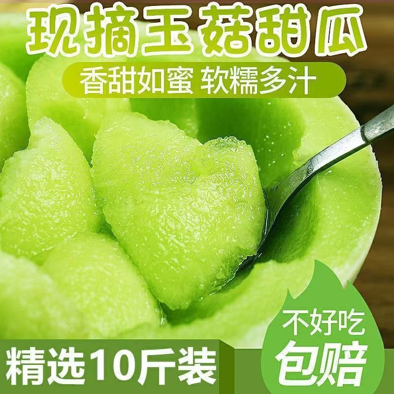 【电商代发】冰激淋玉菇甜瓜小蜜罐甜瓜电商团购代发