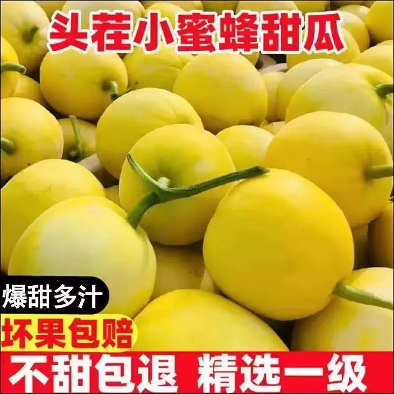 【电商代发】冰激淋玉菇甜瓜小蜜罐甜瓜电商团购代发