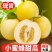 【电商代发】冰激淋玉菇甜瓜小蜜罐甜瓜电商团购代发