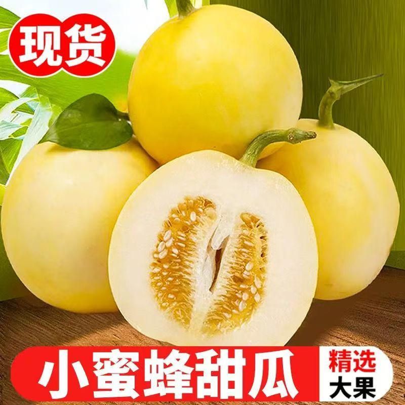 【电商代发】冰激淋玉菇甜瓜小蜜罐甜瓜电商团购代发