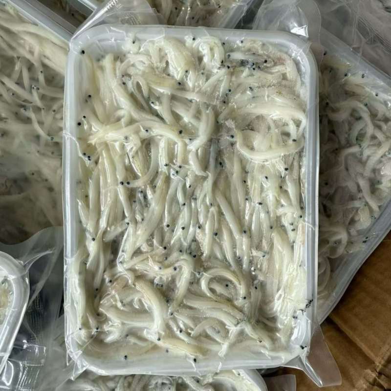 鲜冻银鱼宝宝辅食面条鱼