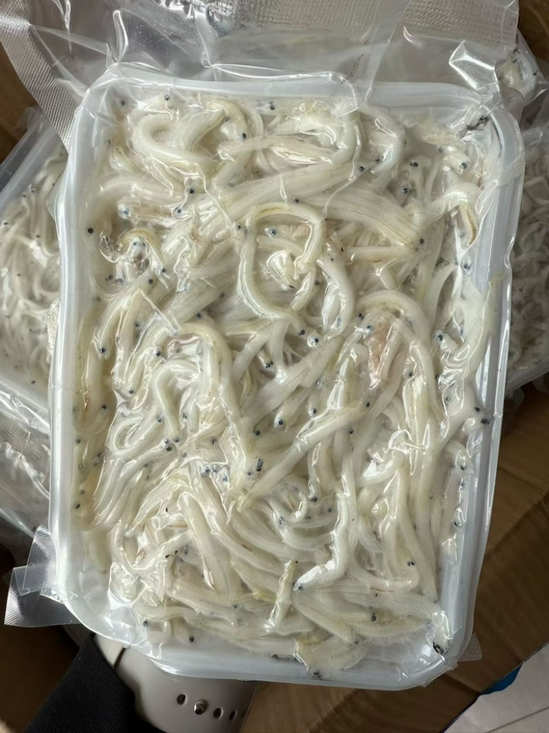 鲜冻银鱼宝宝辅食面条鱼