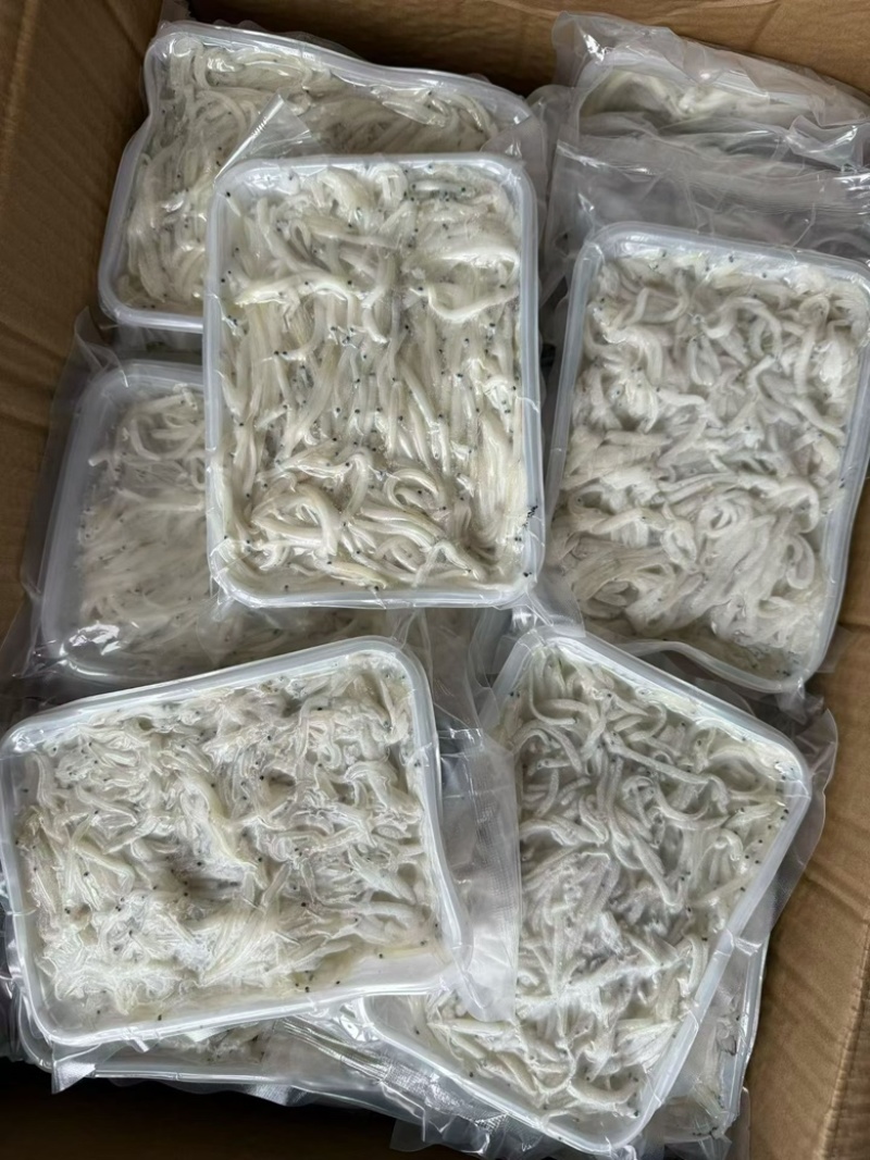 鲜冻银鱼宝宝辅食面条鱼