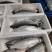 130海里深海三文鱼深海海水养殖三文鱼