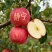 静宁苹果
