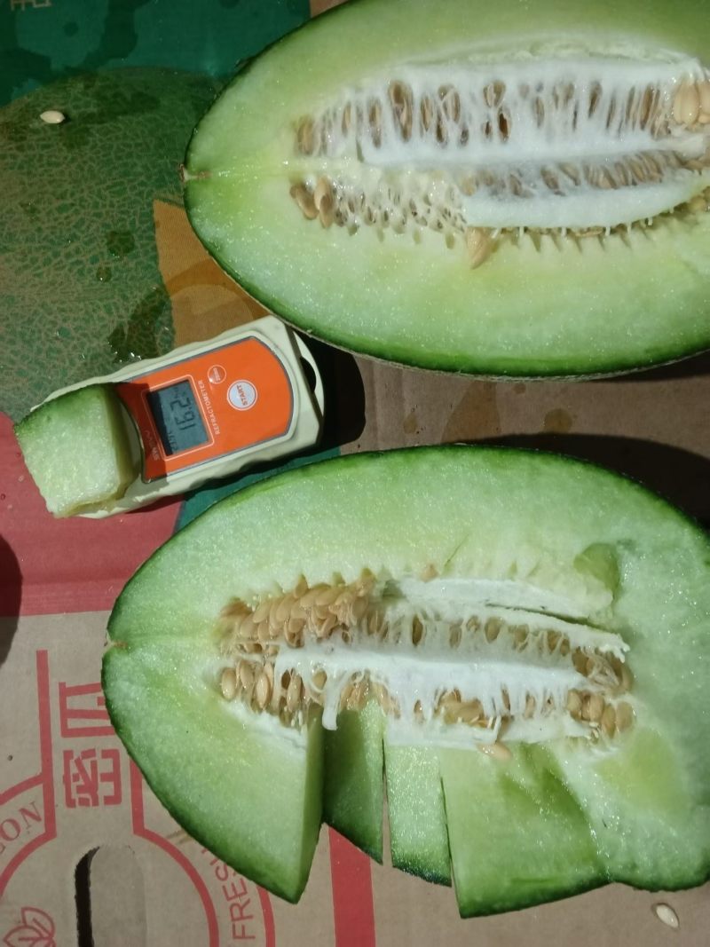青帝蜜瓜