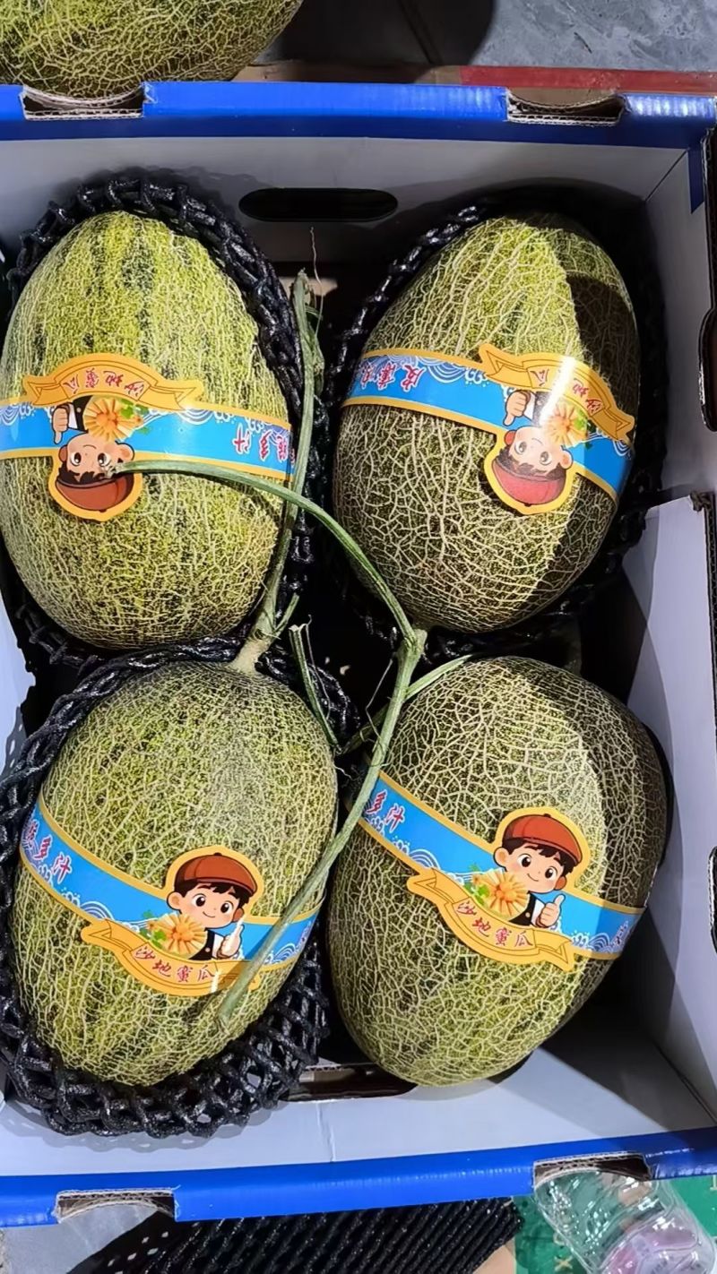青帝蜜瓜