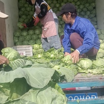 惠万民：甘篮供应代发全国
