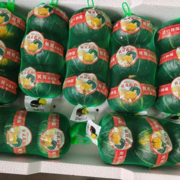 贝贝南瓜