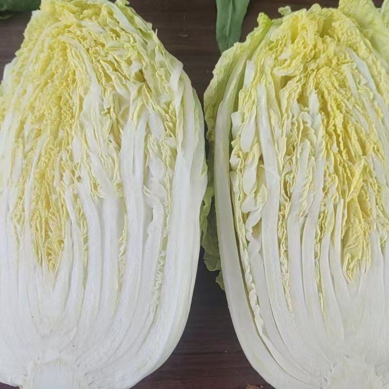 精品大白菜上市，质量保证，货源充足，欢迎老板们看货下单。