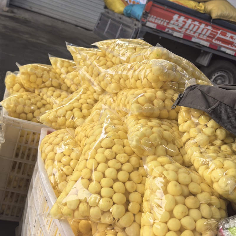 台州珍珠小土豆（坞根高山小土豆）可真空/可水包