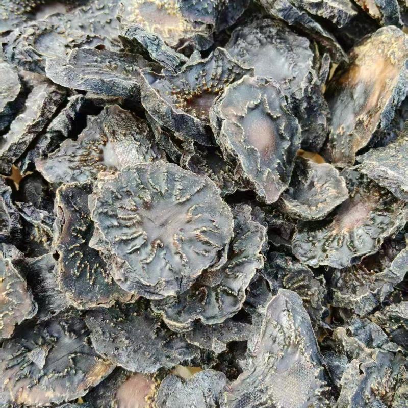 精品肉苁蓉货源充足质量保证量大从优欢迎咨询
