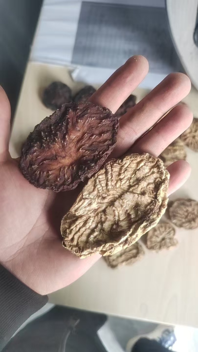 精品肉苁蓉货源充足质量保证量大从优欢迎咨询