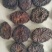 精品肉苁蓉货源充足质量保证量大从优欢迎咨询