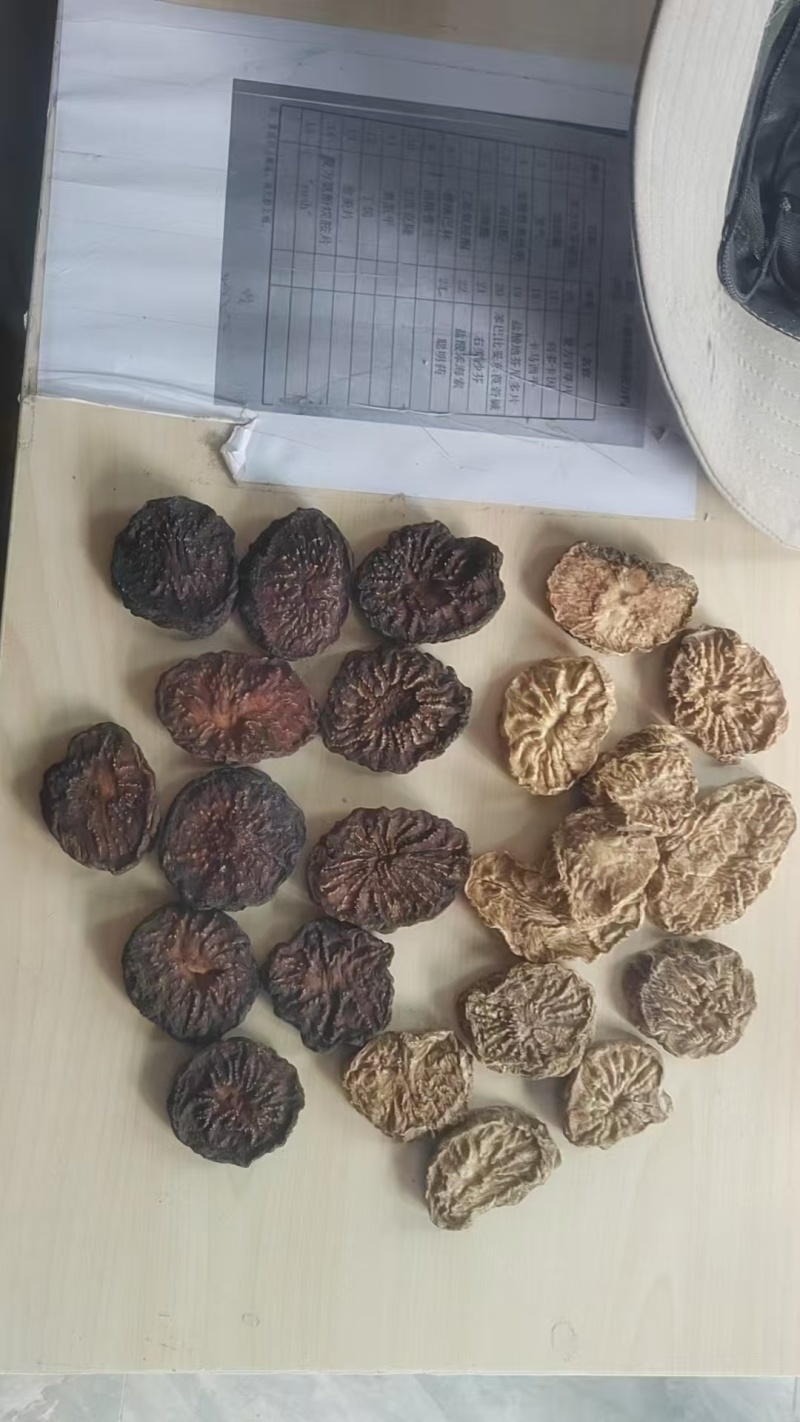 精品肉苁蓉货源充足质量保证量大从优欢迎咨询